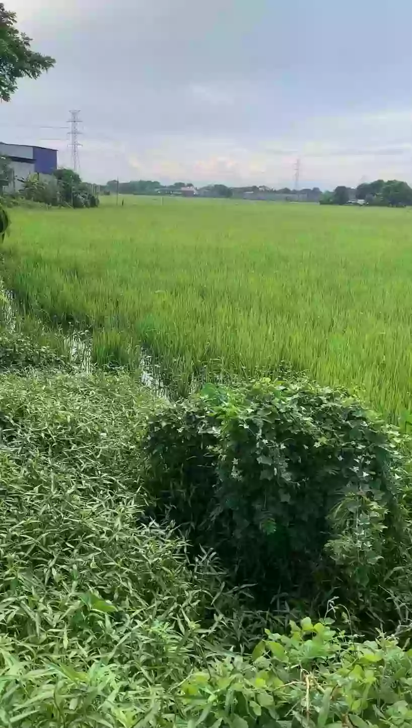 3.9 hectares Commercial Lot Available For Sale in Bypass Road Plaridel, Bulacan — Commercial Lot in Plaridel, Bulacan, 3004 — Photo 2