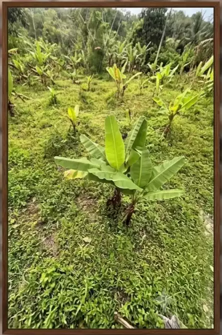 For Sale: Residential Lot in Balubad, Silang, Cavite — 45,000,000 sqm