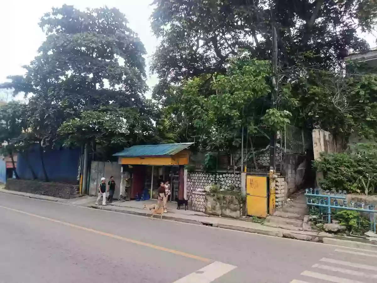 265 sqm Commercial Lot Along D. Jakosalem, Cebu City — Commercial Lot in Zapatera, Cebu City, Cebu — Photo 3
