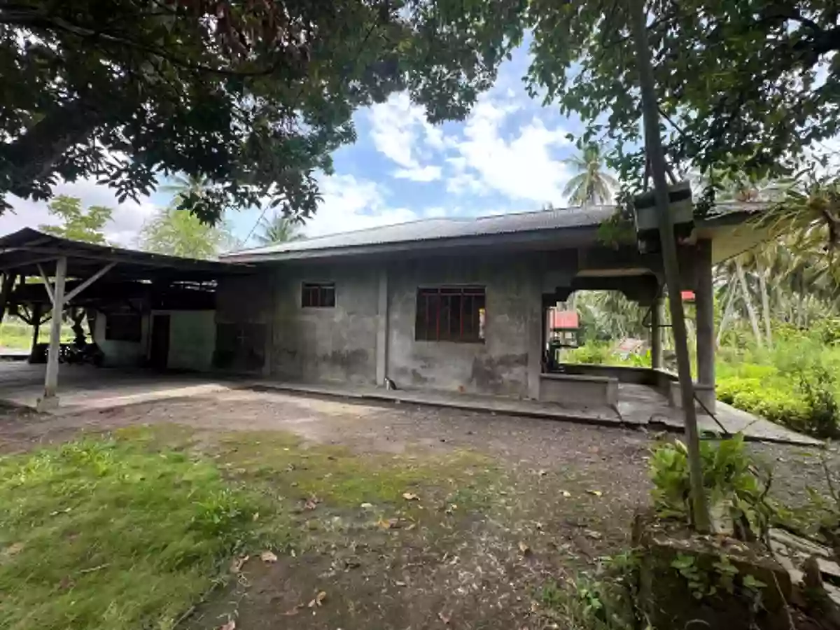 Agricultural Lot for Sale Near Brgy. San Isidro Day Care Center, Tampacan — 36,067 sqm — Agricultural Lot in San Isidro, Tampacan, South Cotabato — Photo 5
