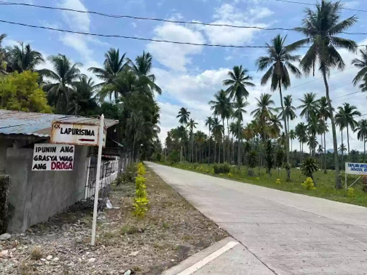 Open photo 11 of 11 — Agricultural Lot for Sale Near Brgy. San Isidro Day Care Center, Tampacan — 36,067 sqm