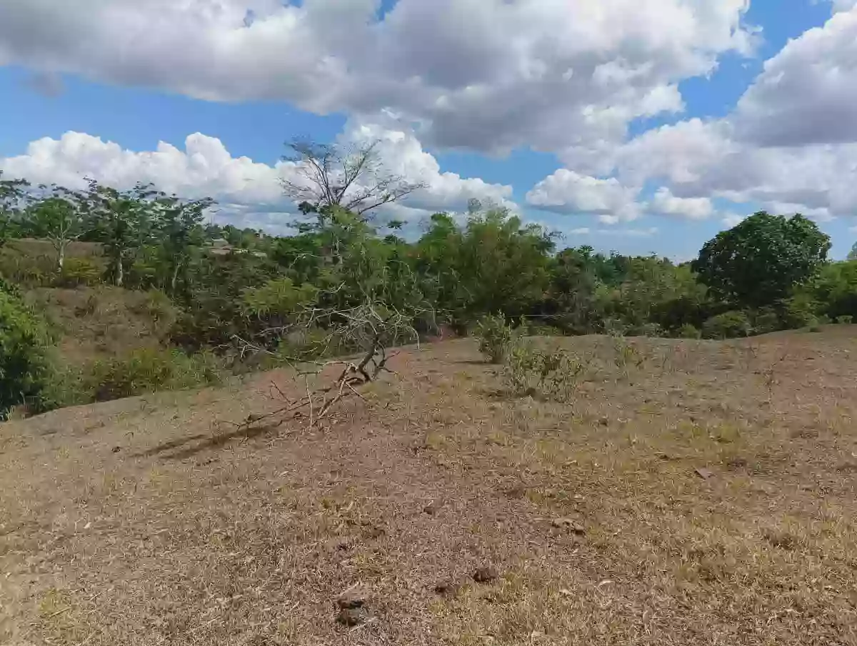 π‘ LOT FOR SALE β Cararayan, Naga City π‘ π Lot Area: 500 SQM π Clean Title β Agricultural Lot in Naga City, Camarines Sur, 4400 β Photo 5