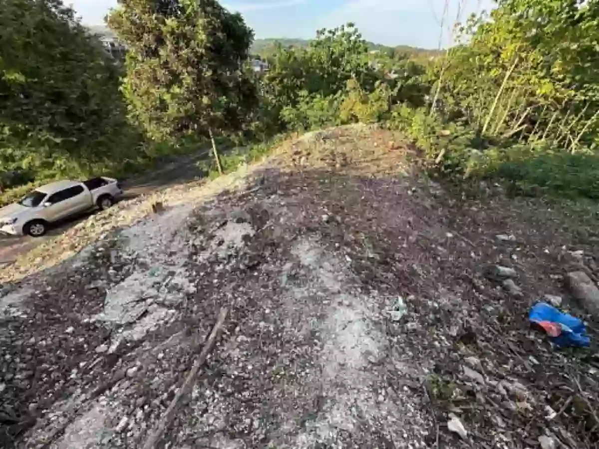 FOR SALE: Residential Lot in Yati, Liloan, Cebu — Residential Lot in Liloan, Cebu, 6002 — Photo 3