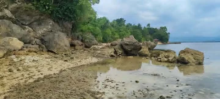 🌴 Prime 6,000 SQM Beach Lot for Sale Near Manami Resort & Pardis Resort | Sipalay City | Along Cemented Road — Beach Lot in Sipalay, Negros Occidental, 6113 — Photo 4