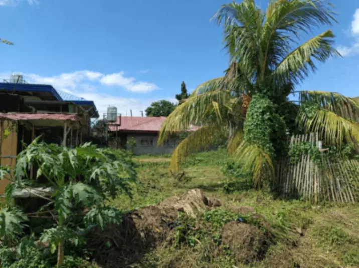 Lot for Sale - photo 5