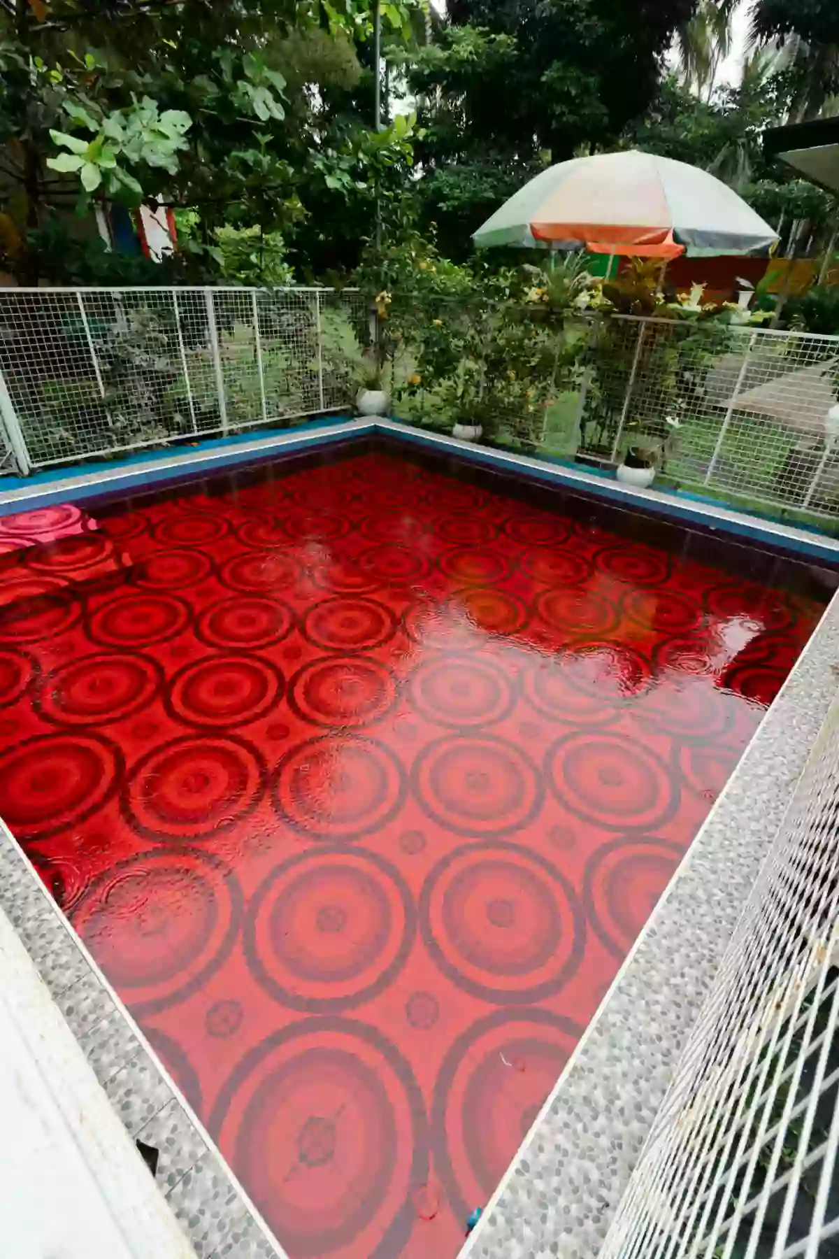 1000 sqm Agriturism Park for sale — Hotel in Tupi, South Cotabato, 9505 — Photo 5