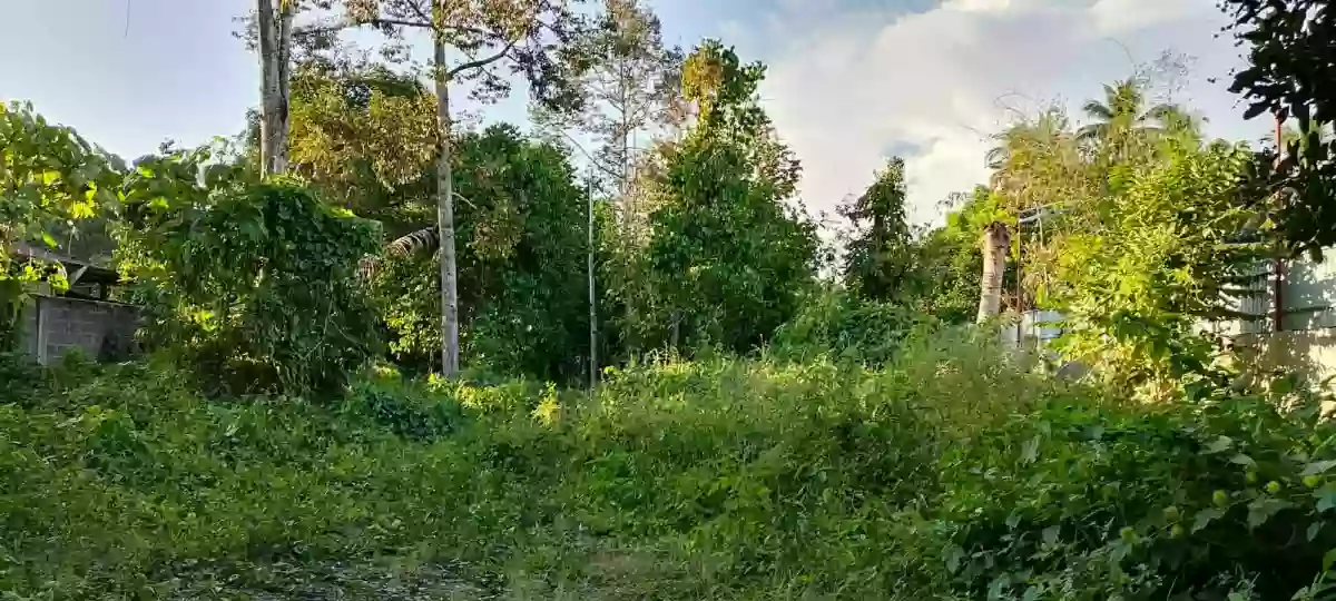 FOR SALE: Commercial Lot in Tugbok (Pob.), Davao City — 3333 sqm — Commercial Lot in Davao City, Davao del Sur, 8000 — Photo 6