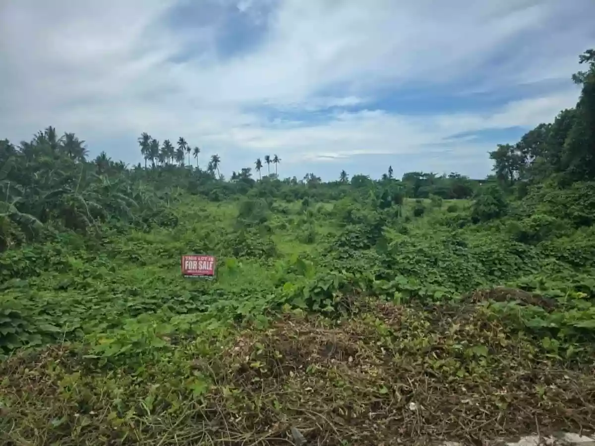 For Sale: Beach Lot in Tinitian, Roxas — Investment Lot — Beach Lot in Roxas, Palawan, 5308 — Photo 4