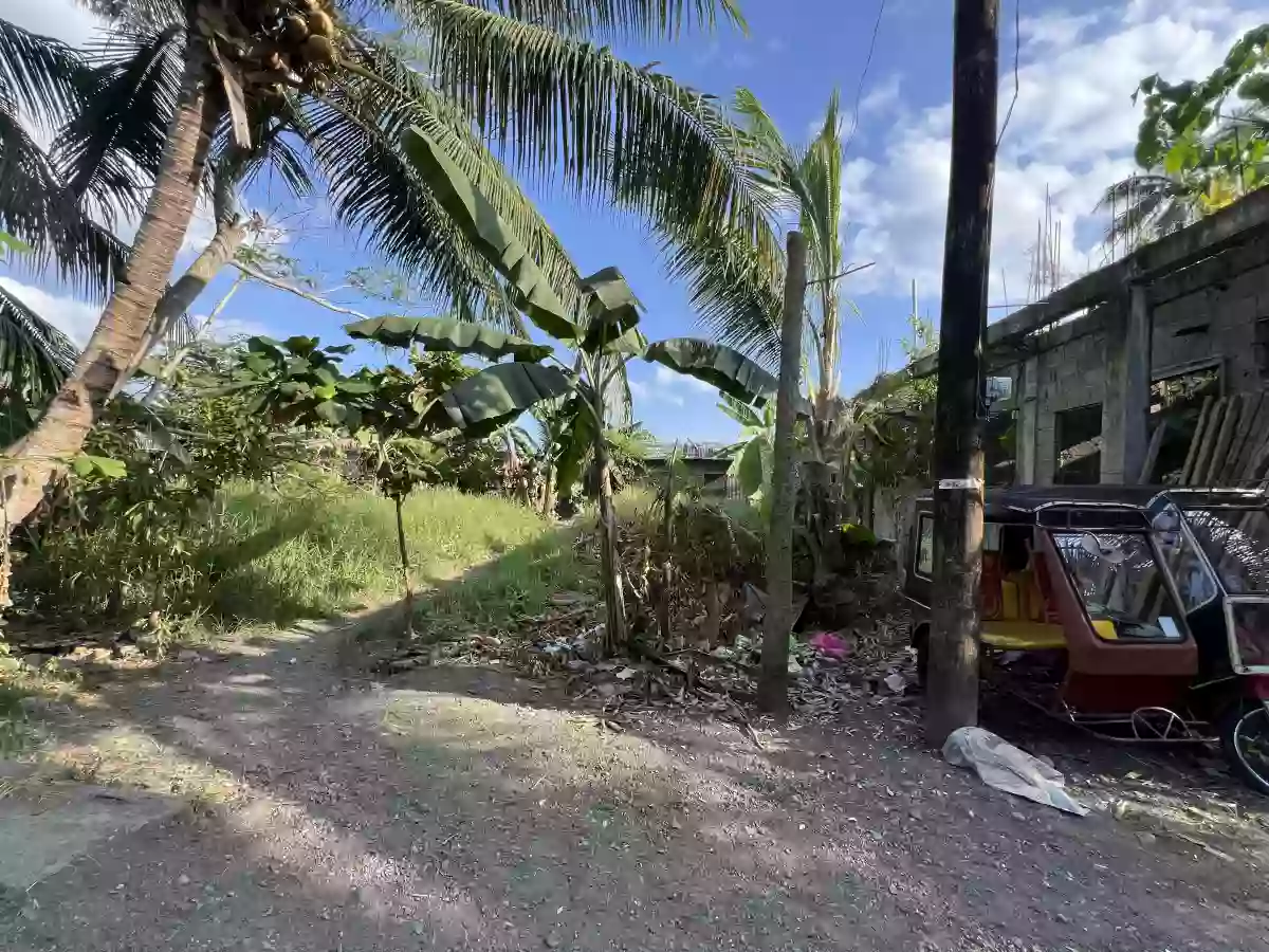 Rush Sale: Residential Lot Near Gaisano City Cabadbaran, Cabadbaran City — 492 sqm — Residential Lot in Cabadbaran City, Agusan del Norte, 8605 — Photo 2