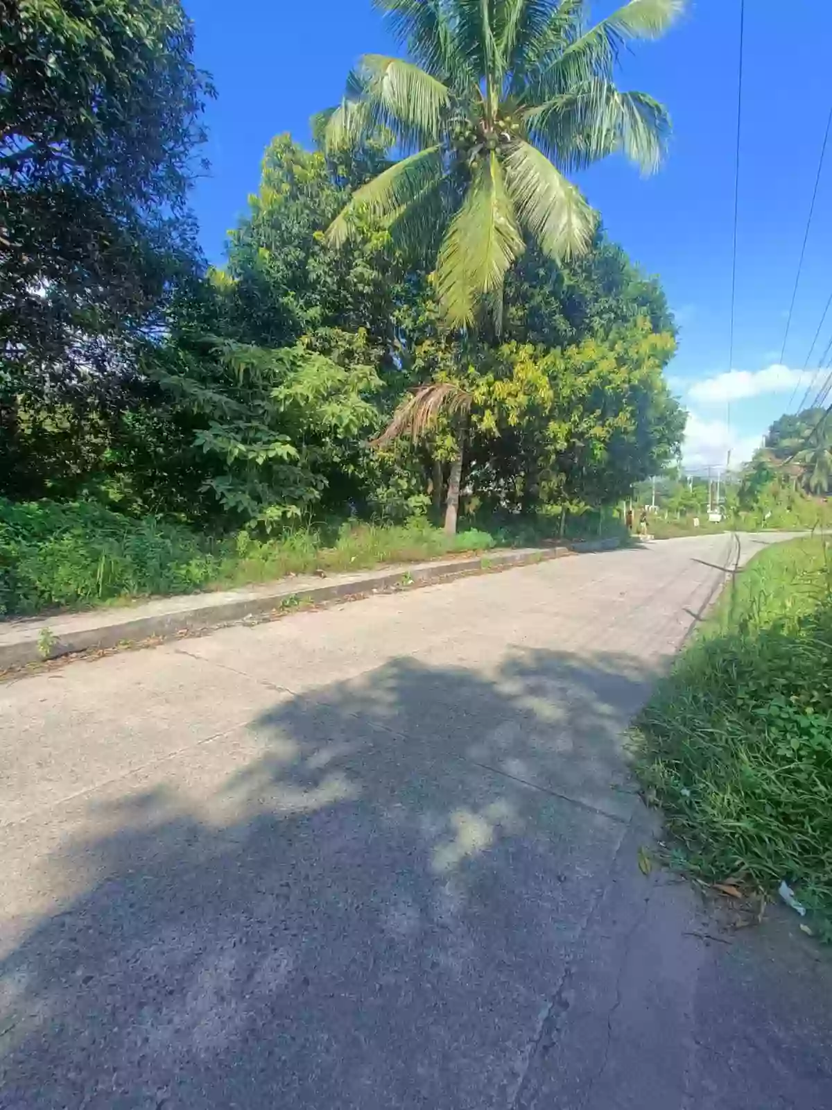 Prime Lot for Sale in Banilad, Dumaguete City π‘ β Residential Lot in Dumaguete City, Negros Oriental, 6200 β Photo 4