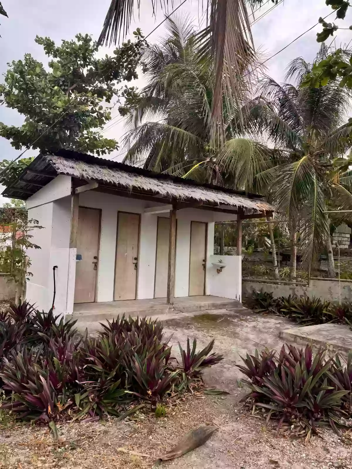 For Sale Beach Lot in Calape, Daang-Bantayan, Cebu 500 sqm — Beach Lot in Daang-Bantayan, Cebu, 6013 — Photo 2