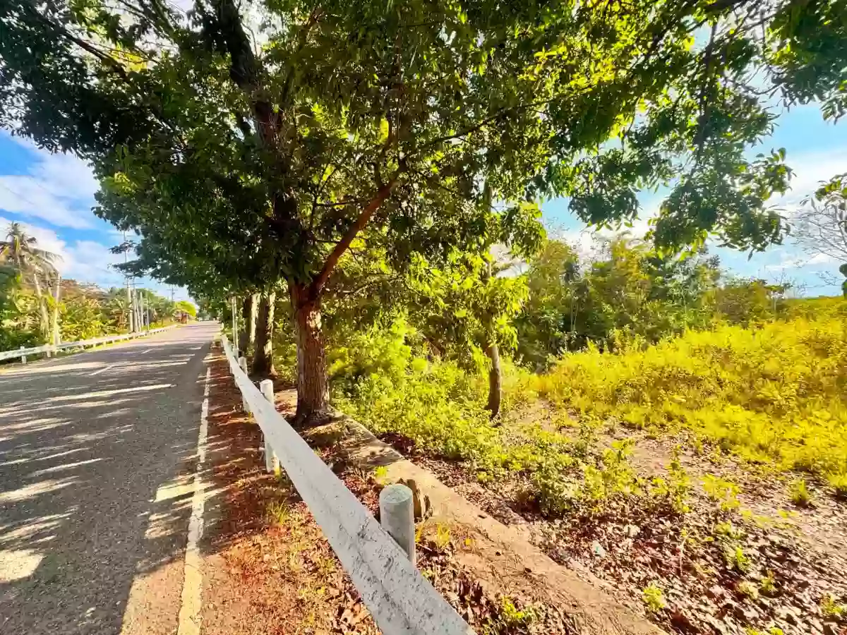 Rush Sale: ALCANTARA LOT - ALONG THE MAIN ROAD — Residential Lot in Alcantara, Cebu, 6033 — Photo 6