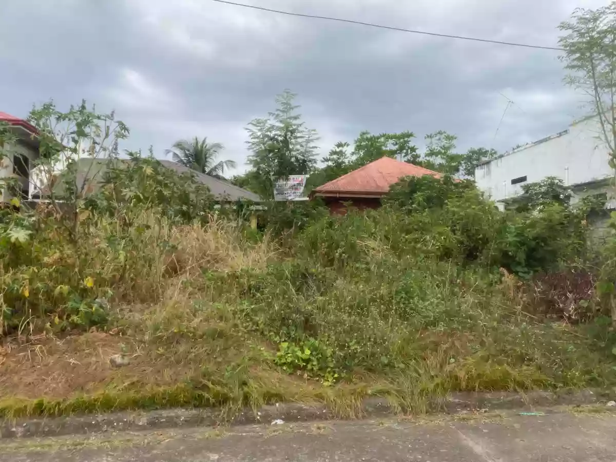 For Sale: Residential Lot in Candau-ay, Dumaguete City — 160 sqm — Residential Lot in Dumaguete City, Negros Oriental, 6200 — Photo 3