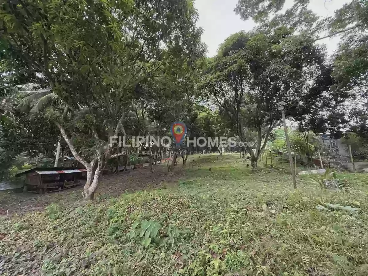 🌴 LOT FOR SALE in Kiwanan, Midsayap! 🏡✨ — Agricultural Lot in Midsayap, Cotabato, 9410 — Photo 5