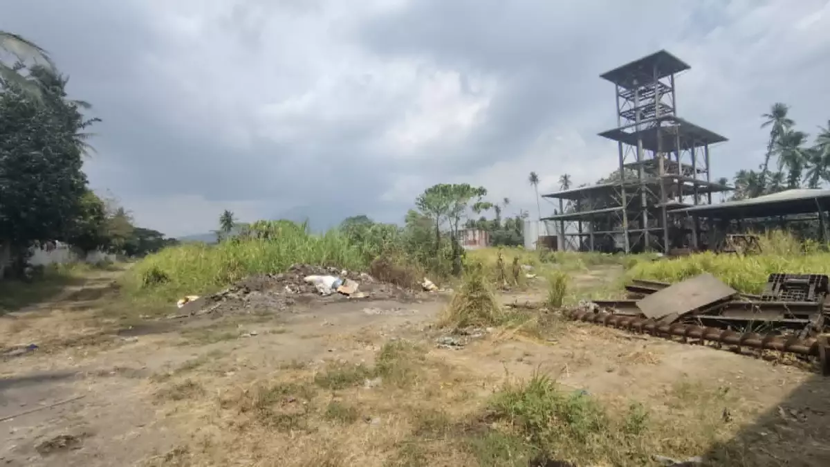 For Sale: 50,000 sqm Industrial Lot in San Ignacio, San Pablo City — Industrial Lot in San Ignacio, San Pablo City, Laguna — Photo 3