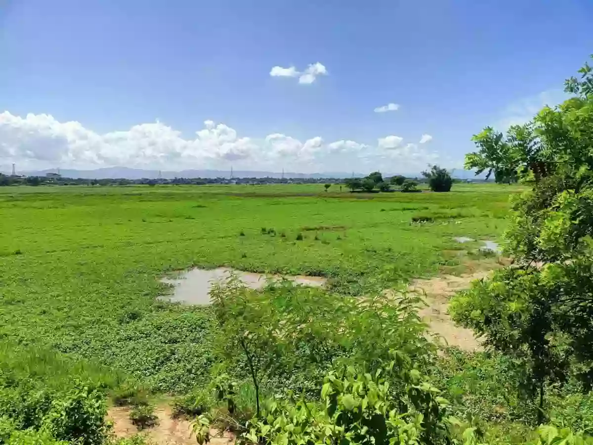 33,387 SQM Agricultural Land For Sale | Brgy. Calasag, San Ildefonso, Bulacan | Clean Title — Agricultural Lot in San Ildefonso, Bulacan, 3010 — Photo 5