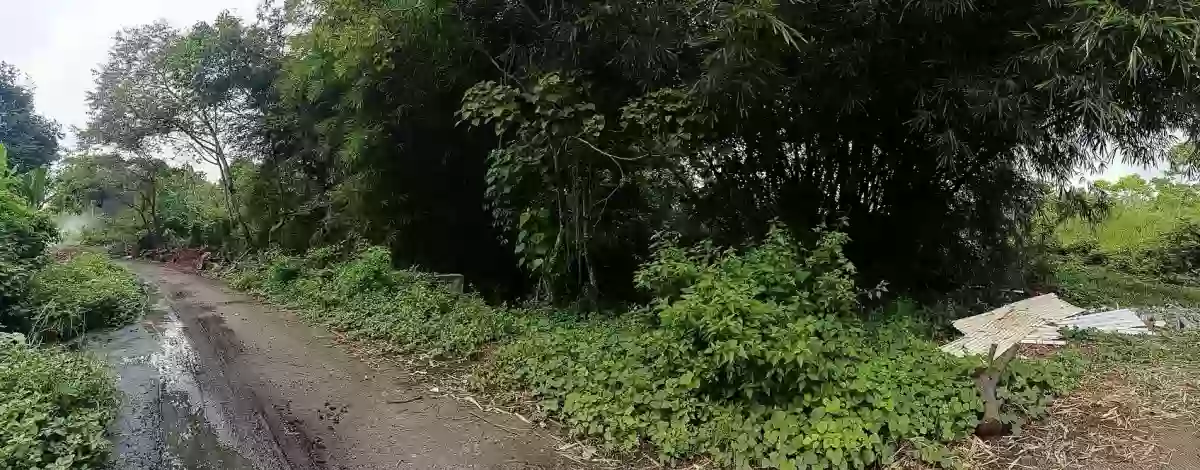 Lot For Sale - 15,399 SQM Investment Property Beside Apo Highlands Subdivision | Catalunan Grande, Davao City