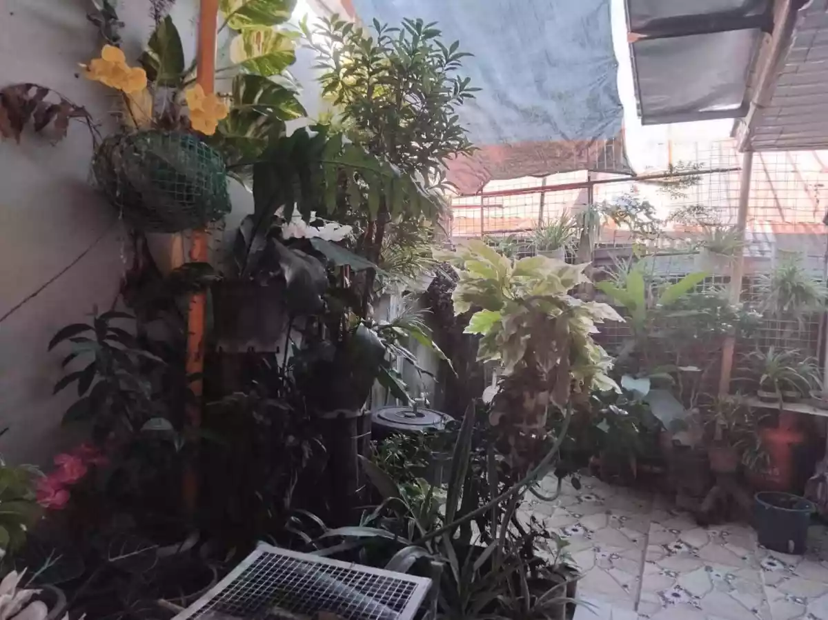 For Sale: 2BR House and Lot in Jibao-an, Pavia, Iloilo — 90 sqm — House and Lot in Balabag, Pavia, Iloilo — Photo 2
