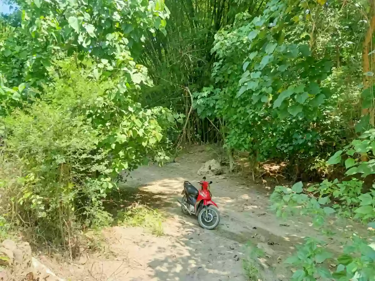 Agricultural land for sale Alegria, Alabel, Sarangani — Agricultural Lot in Alabel, Sarangani, 9501 — Photo 2