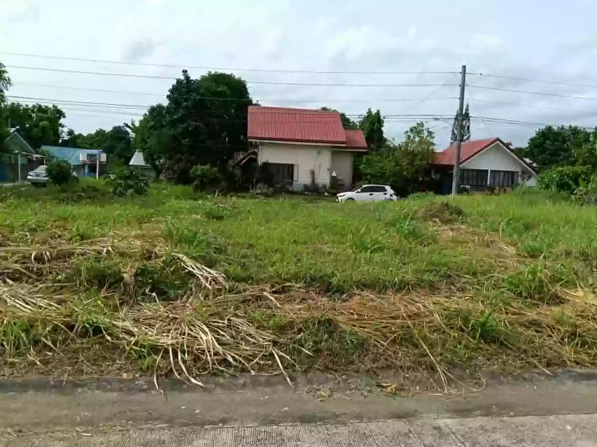 For Sale: Residential Lot in Pacol, Naga City — 125 sqm — Residential Lot in Naga City, Camarines Sur, 4400 — Photo 2