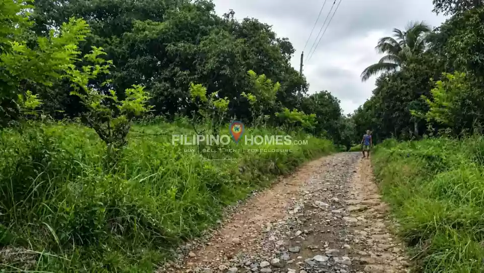 For Sale: Agricultural Lot in Anick, Pigkawayan — 46096 sqm — Agricultural Lot in Pigkawayan, Cotabato, 9412 — Photo 3