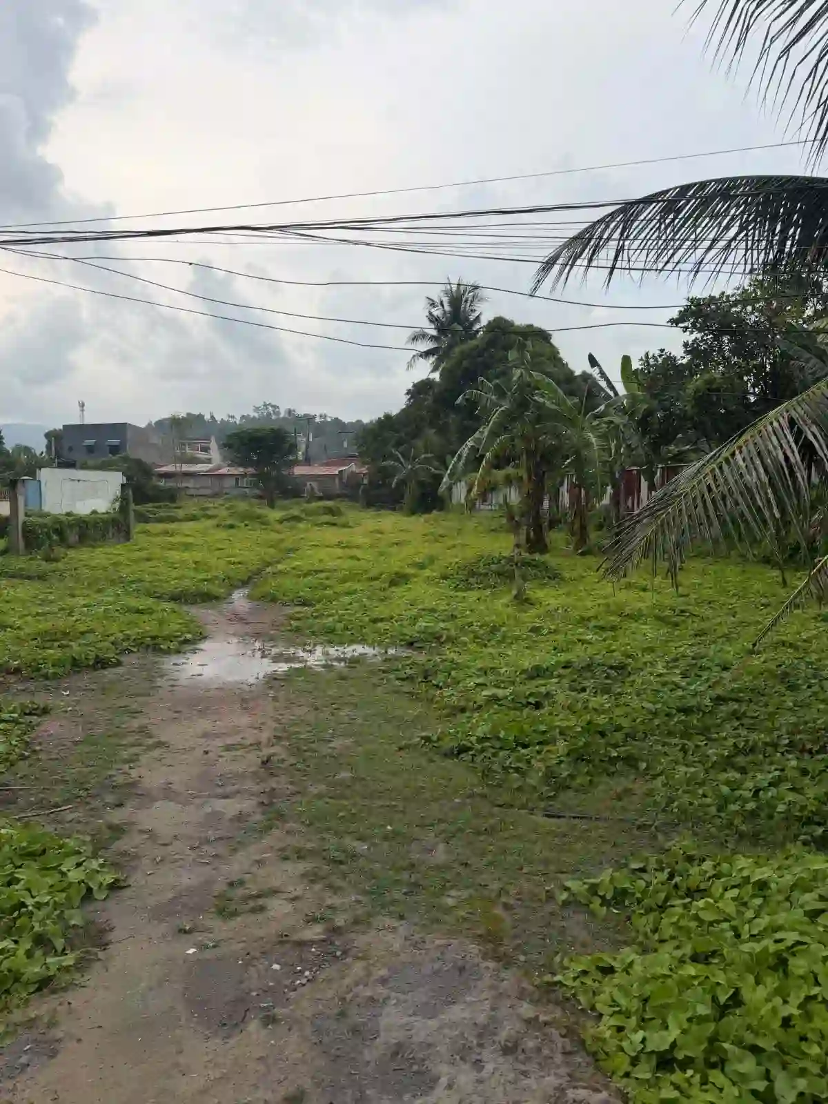 MINGLANILLA RESIDENTIAL LOT FOR SALE