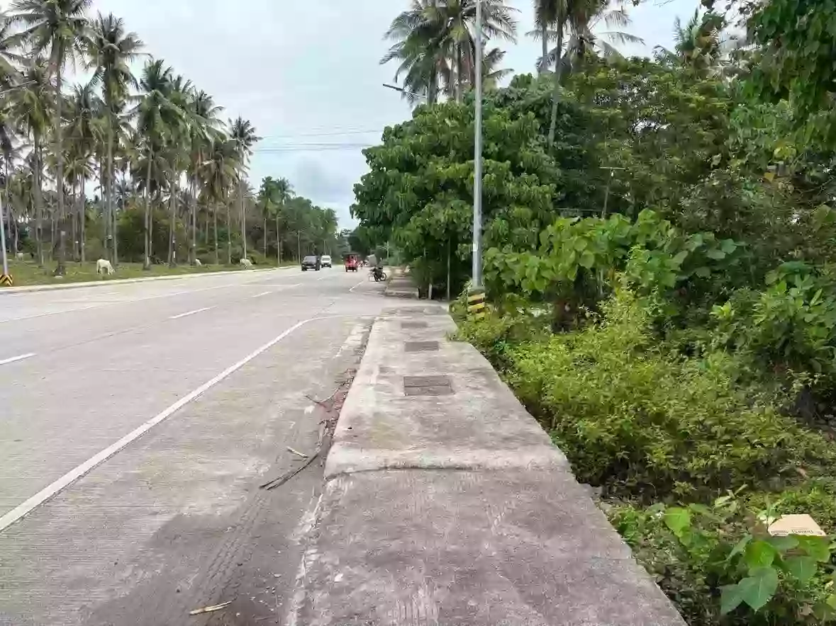 For Sale: Residential Lot in Lutao, Bacung — 400 sqm — Residential Lot in Bacung, Negros Oriental, 6216 — Photo 3
