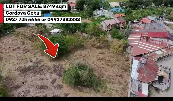 For Sale: Residential Lot in Poblacion, Cordova — 8749 sqm — Residential Lot in Cordova, Cebu, 6017 — Photo 3