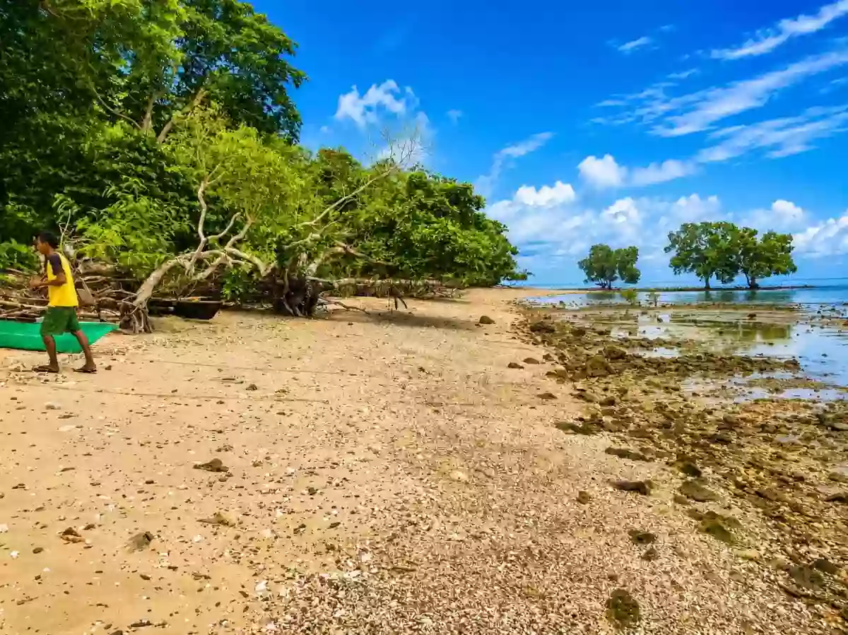 For Sale: Beach Lot in Binduyan, Puerto Princesa City — 6000 sqm — Beach Lot in Puerto Princesa City, Palawan, 5300 — Photo 3