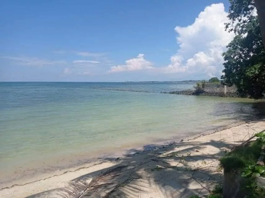 for Assume: Studio Condo in Subabasbas, Lapu-lapu City — 29.8 sqm — Studio in Subabasbas, Lapu-lapu City, Cebu — Photo 3
