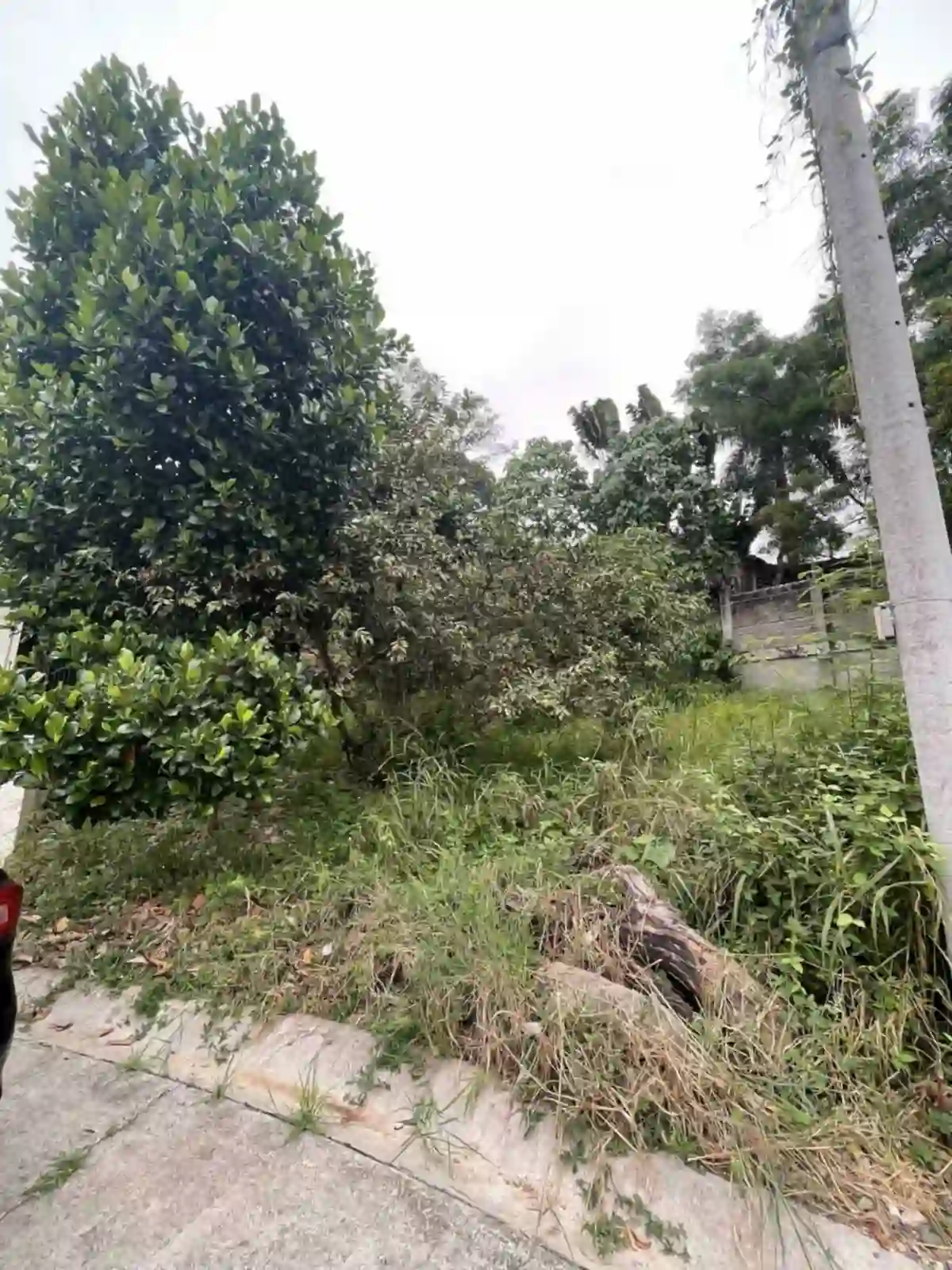 For Sale: Residential Lot in Lumbia, Cagayan de Oro City — Investment Lot — Residential Lot in Lumbia, Cagayan de Oro City, Misamis Oriental — Photo 4