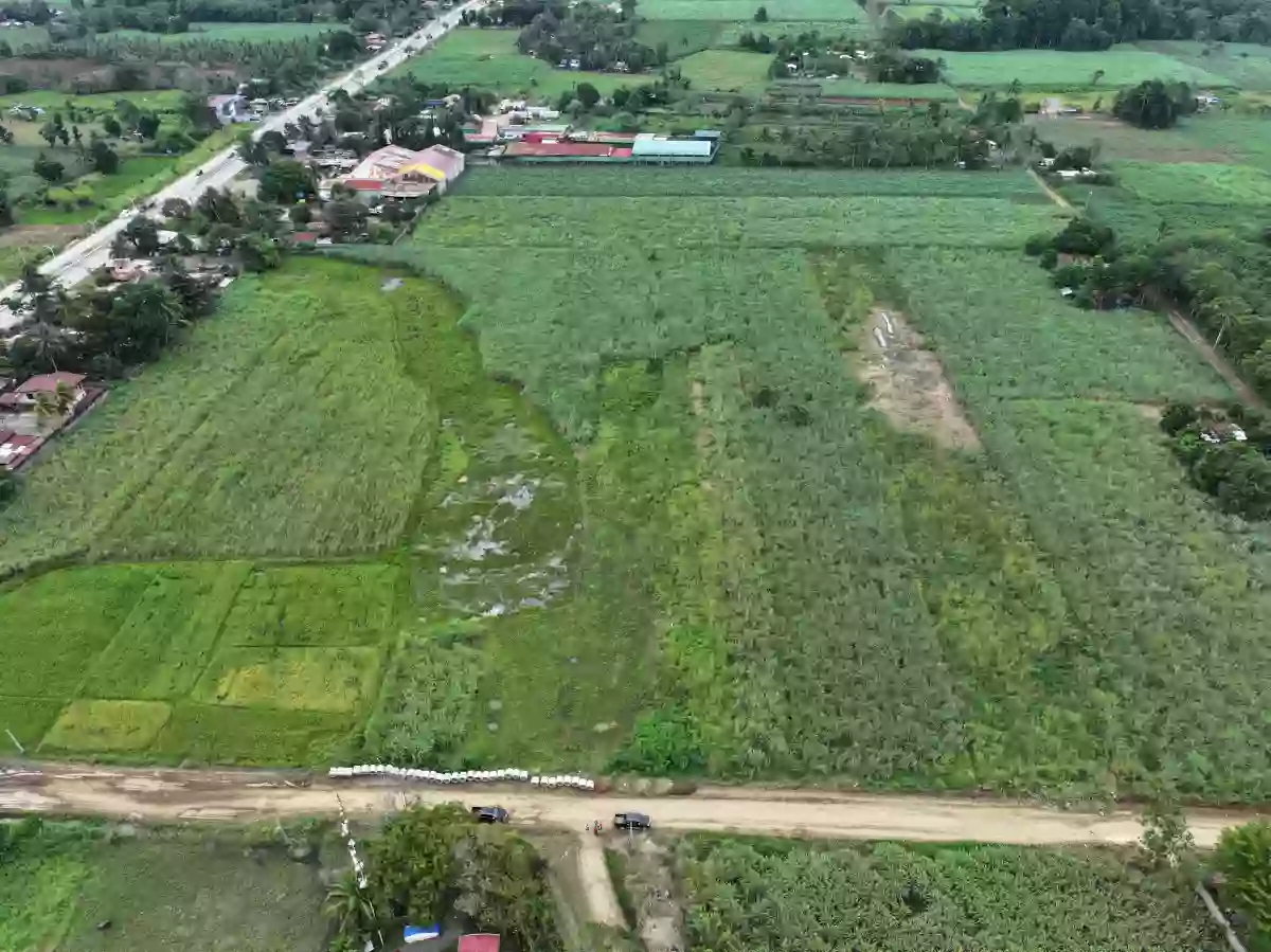 Agricultural Lot — Agricultural Lot in Don Carlos, Bukidnon, 8712 — Photo 2