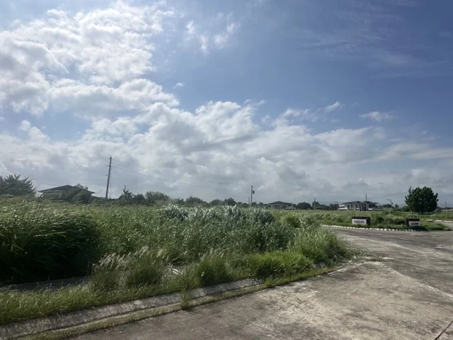 For sale: Bloomfields Residential Lot in Labangal, General Santos City — Residential Lot in General Santos City, South Cotabato, 9500 — Photo 2