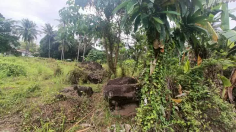 For Sale: Prime Overlooking Lot in Valencia, Negros Oriental/ Dumaguete City - photo 4
