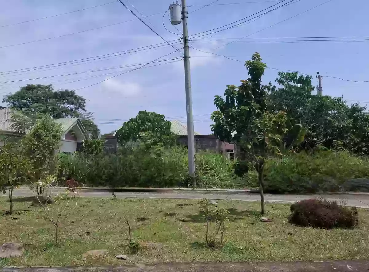 Rush Sale: Residential Lot - Altezza Grande