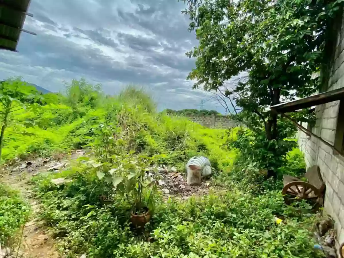 Open photo 19 of 23 — For Sale: Industrial Lot in Telapayong, Arayat — 3250 sqm