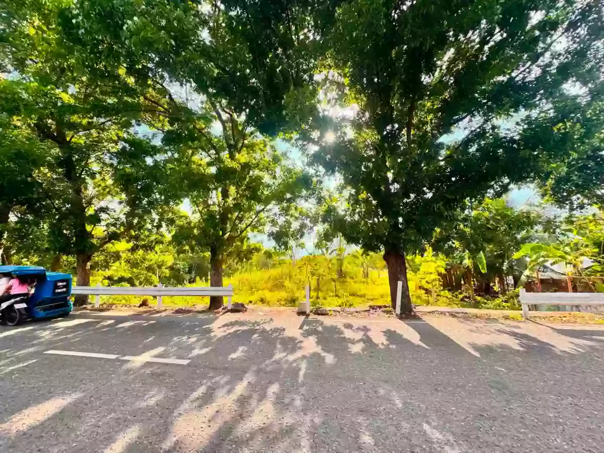 Rush Sale: ALCANTARA LOT - ALONG THE MAIN ROAD — Residential Lot in Alcantara, Cebu, 6033 — Photo 4