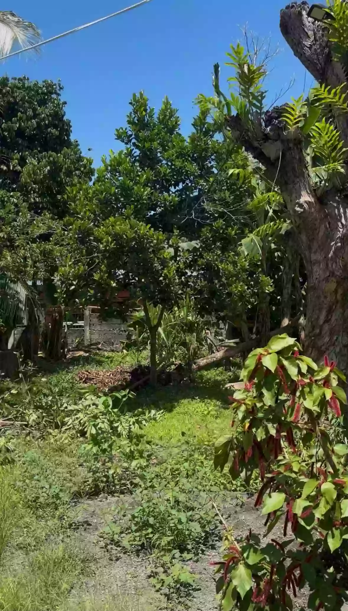 For Sale: Residential Lot in Mintal, Davao City — 800 sqm — Residential Lot in Mintal, Davao City, Davao del Sur — Photo 3