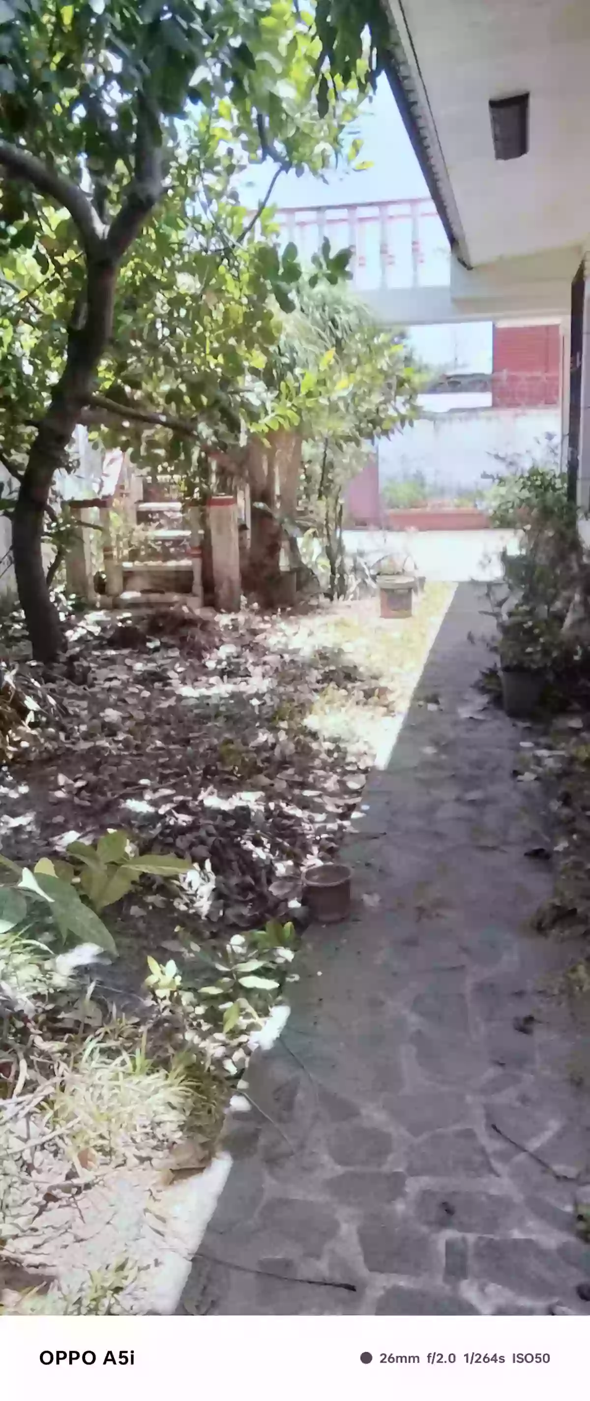 Open photo 24 of 24 — For Sale: 3BR House and Lot in Taclobo, Dumaguete City — 2-Car Garage