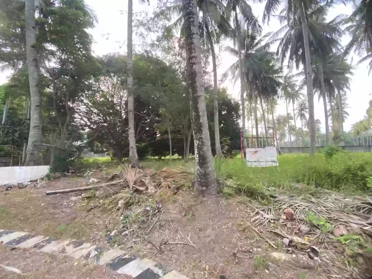 RESIDENTIAL LOT FOR SALE IN APO VISTA - 1336