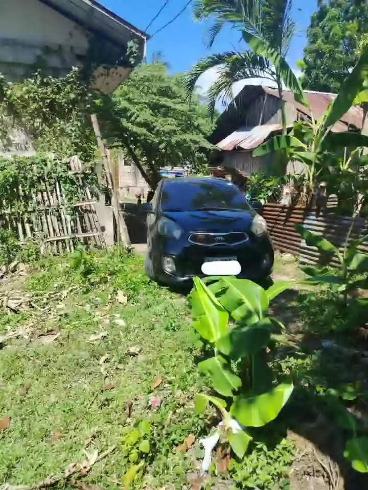 For Sale Residential Lot in Ajong, Sibulan — 258 sqm Clean Title — Residential Lot in Ajong, Sibulan, Negros Oriental — Photo 3