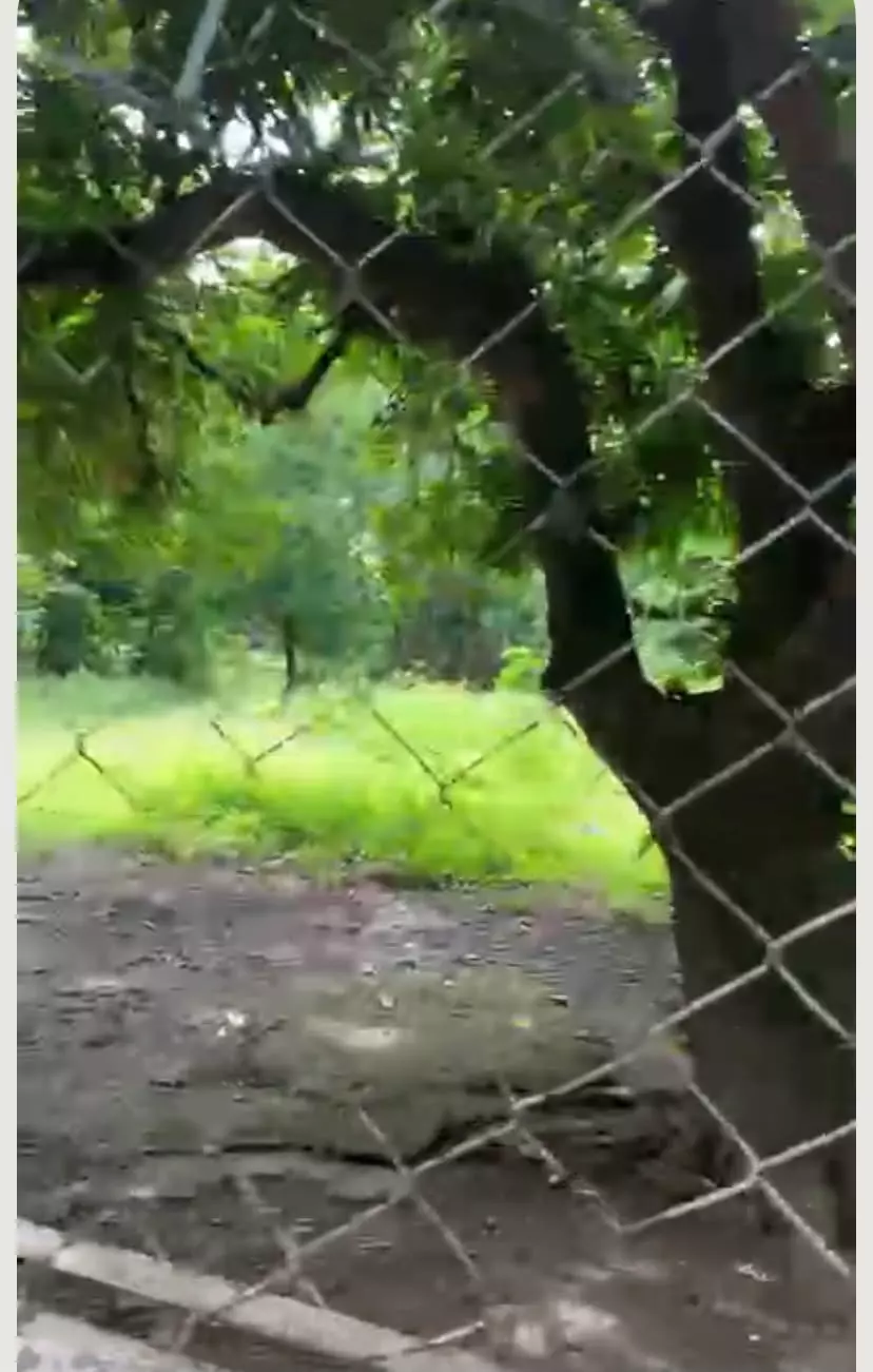Commercial Lot For Sale 2,000 sqm. — Commercial Lot in Plaridel, Bulacan, 3004 — Photo 5