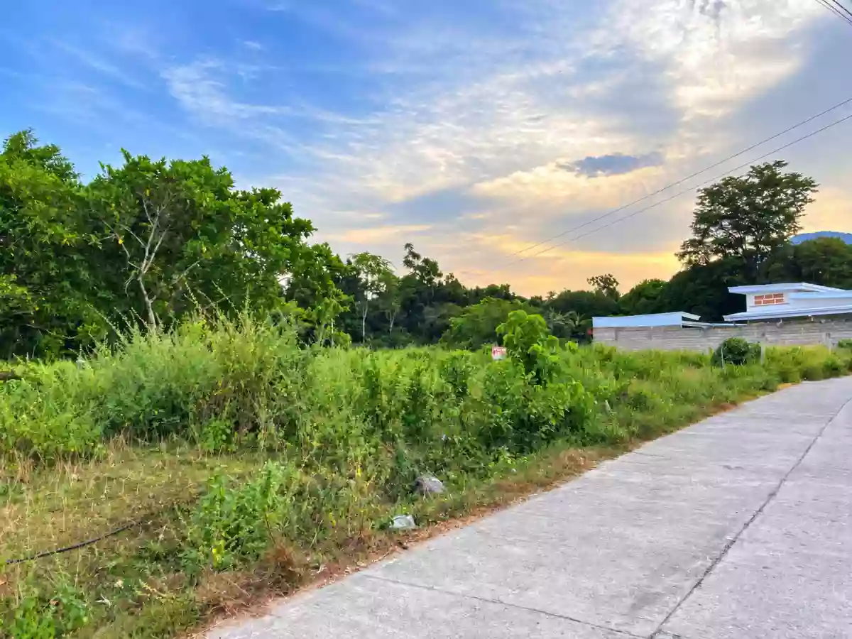 For Sale: Residential Lot in Bacung, Negros Oriental — 750 sqm — Residential Lot in Bacung, Negros Oriental, 6216 — Photo 2
