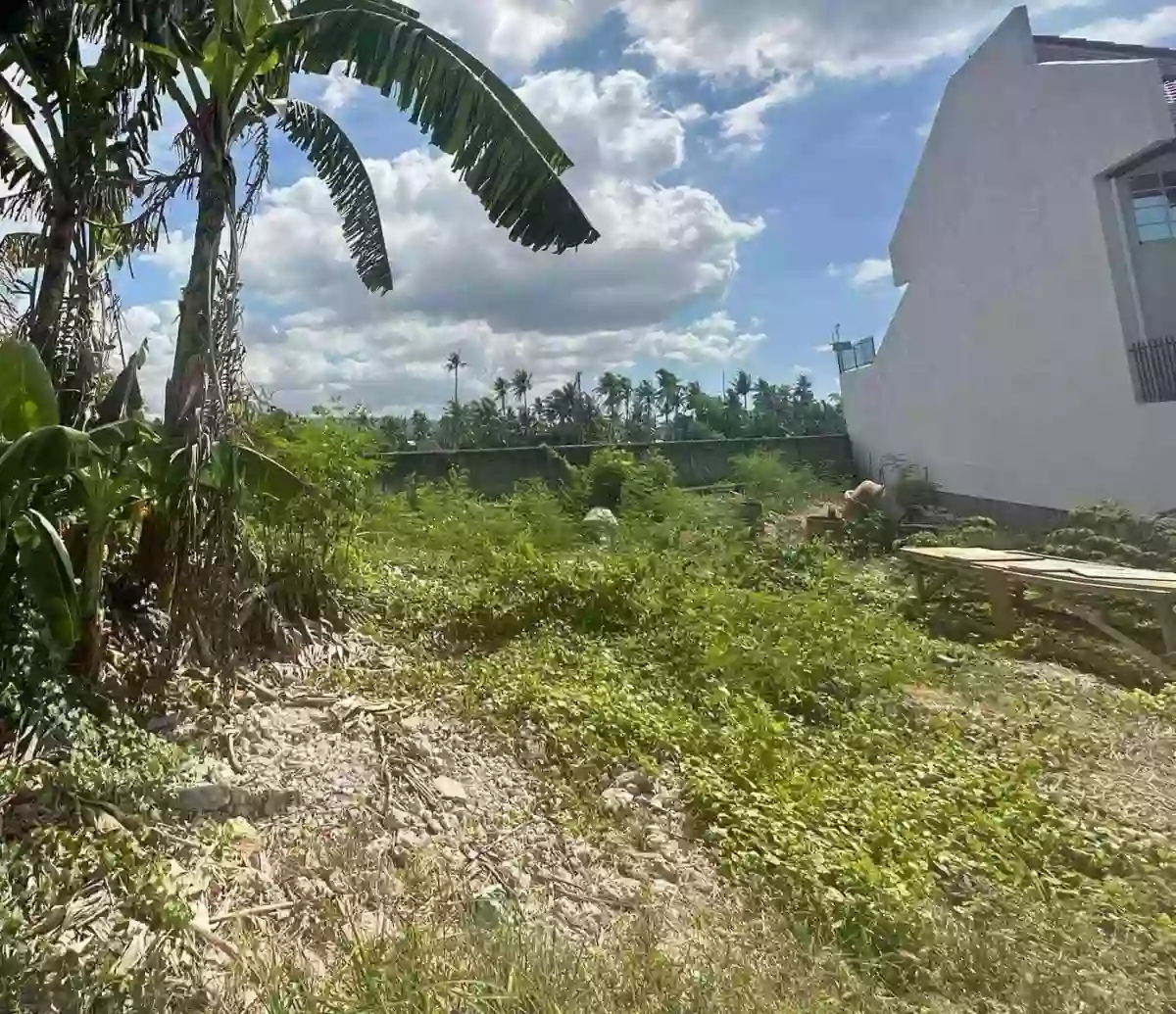 For Sale Residential Lot in Pooc, Talisay City — 328 sqm — Residential Lot in Cebu, 6045, Philippines — Photo 5