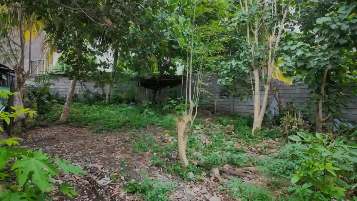 AB lot — Residential Lot in General Santos City, South Cotabato, 9500 — Photo 3
