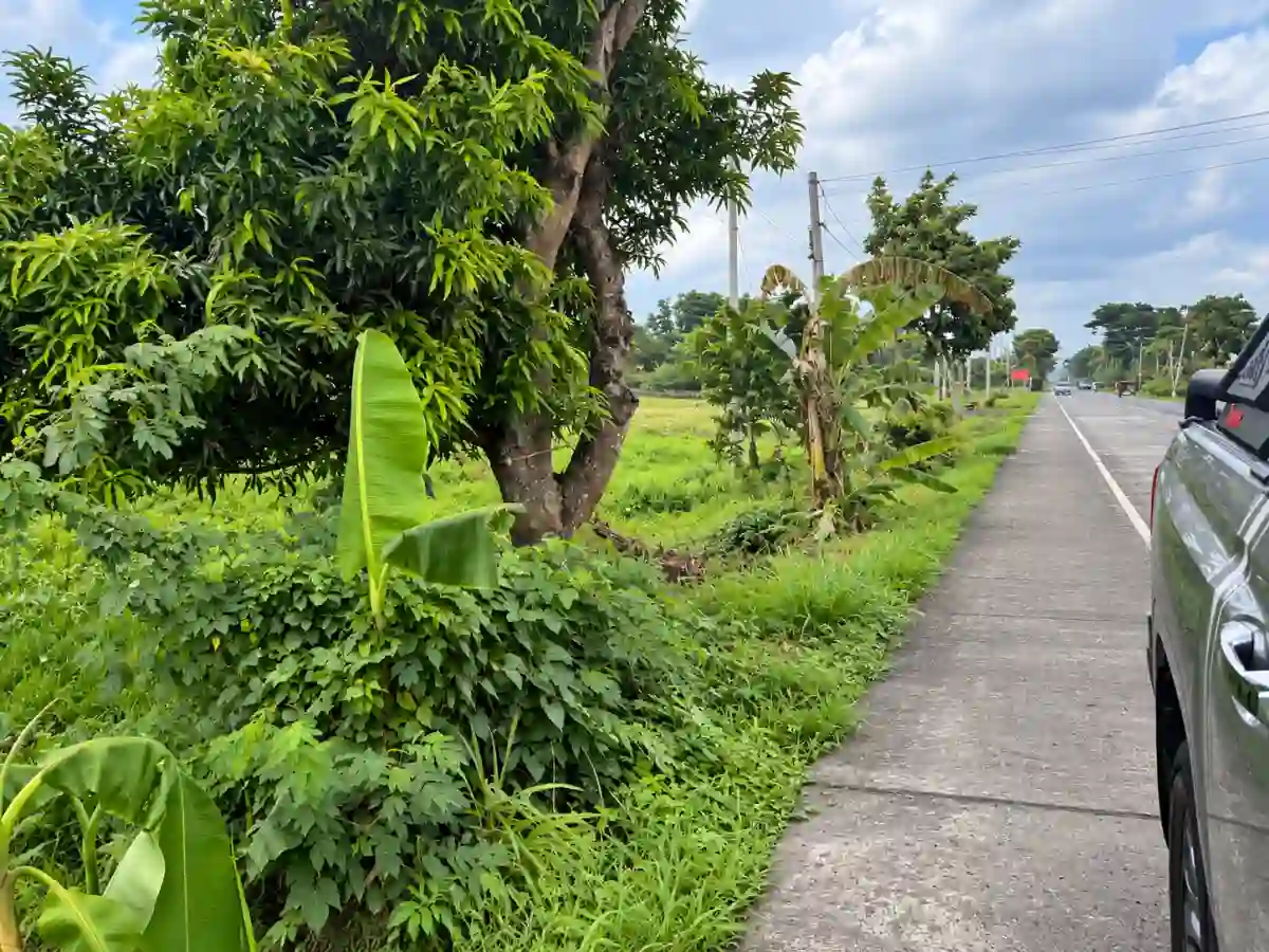 For Sale: Residential Lot 2,000 sqm in Himaao, Pili — Residential Lot in Pili, Camarines Sur, 4418 — Photo 2