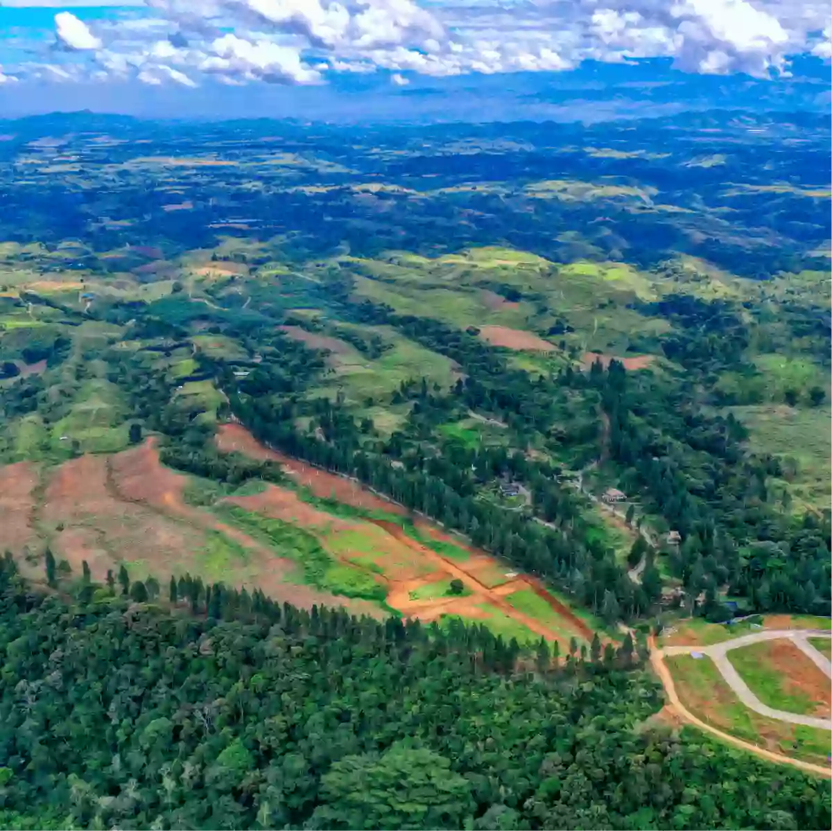 MOUNTAIN PINES FARM LOT — Residential Lot in Manolo Fortich, Bukidnon, 8703 — Photo 4