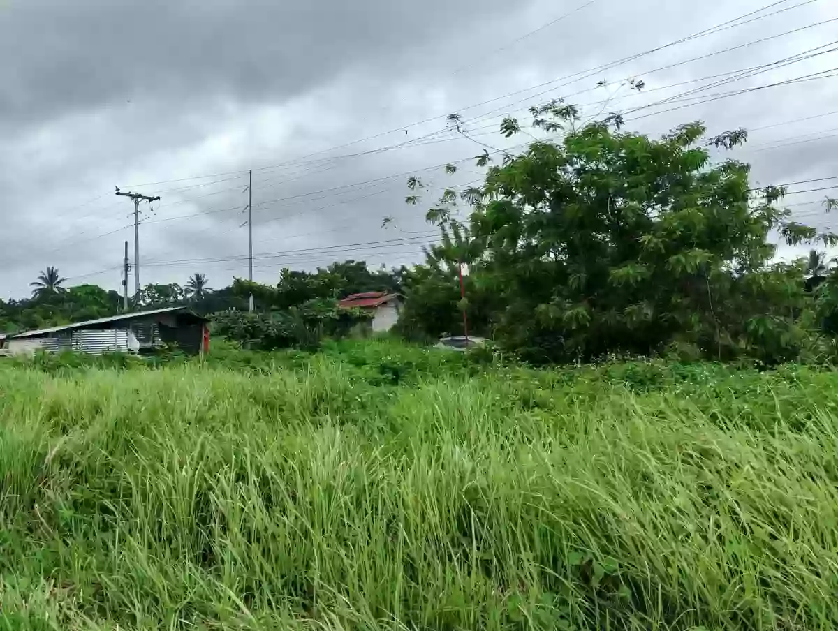 For Sale: Commercial Lot in Cannery Site, Polomolok — 2700 sqm — Commercial Lot in Cannery Site, Polomolok, South Cotabato — Photo 4
