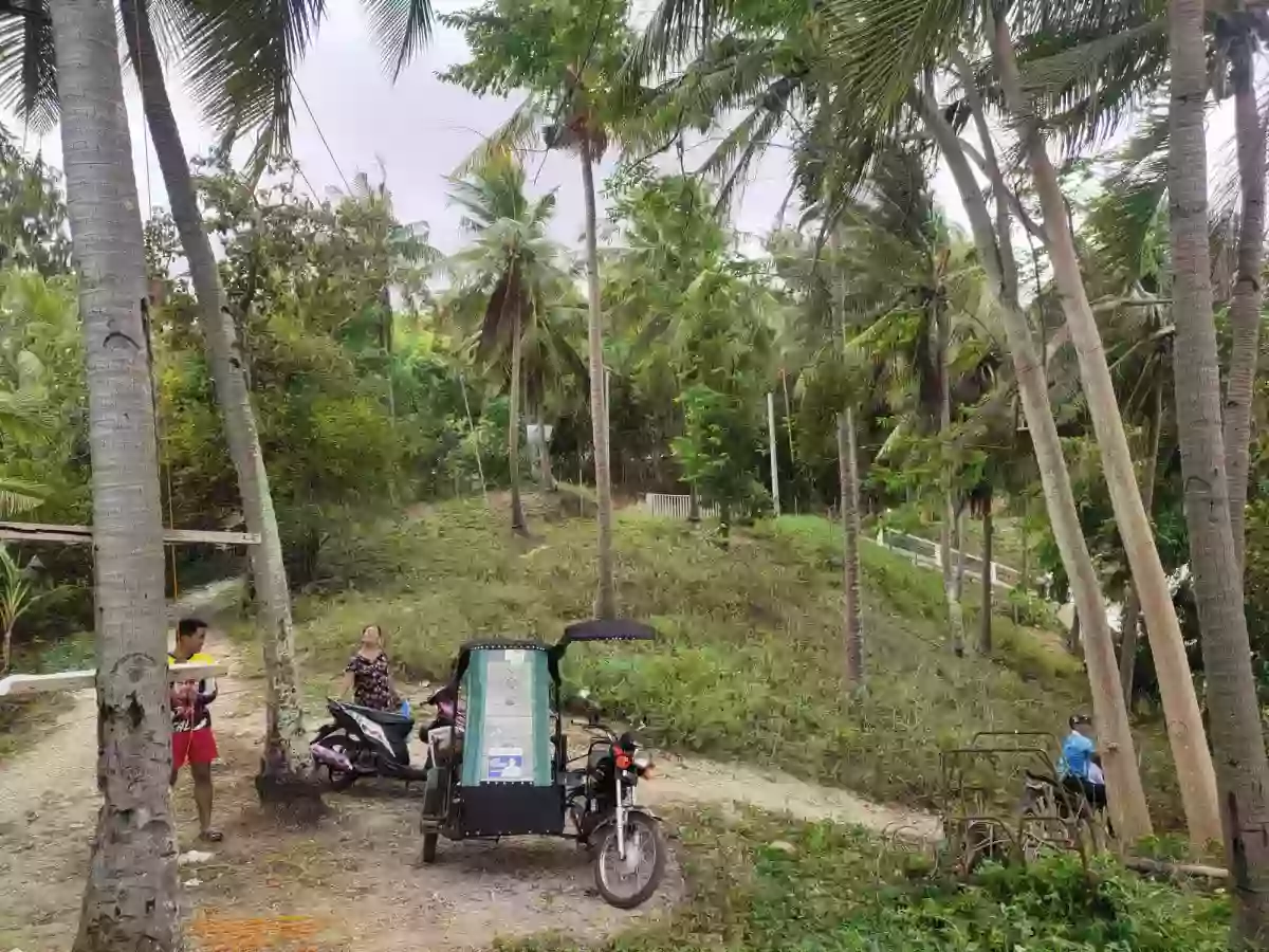 FOR SALE: Agricultural Lot Near Boljoon Heritage Park, Boljoon — 13,638 sqm — Agricultural Lot in Boljoon, Cebu, 6024 — Photo 6