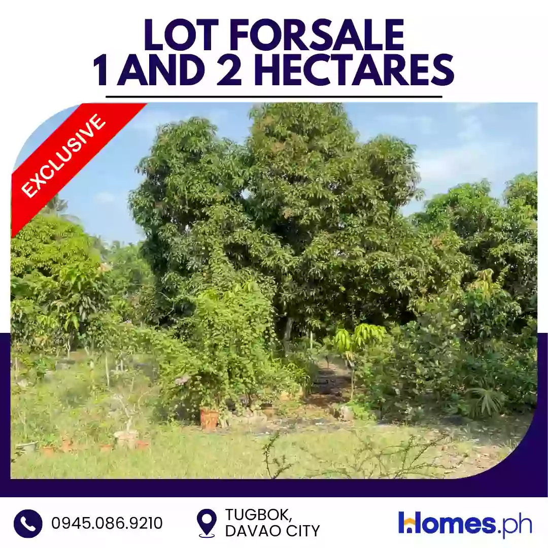For Sale: Residential Lot in Tugbok (Pob.), Davao City — 30000 sqm — Residential Lot in Davao City, Davao del Sur, 8000 — Photo 3
